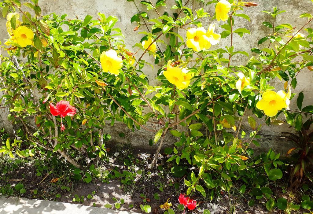 Pousada Canto Da Ilha Ilha Comprida Exterior foto